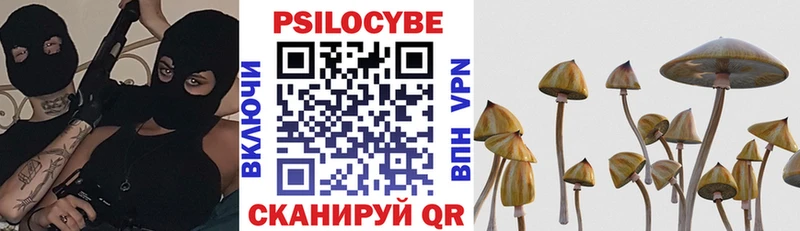 Псилоцибиновые грибы Psilocybe  продажа наркотиков  Лодейное Поле 