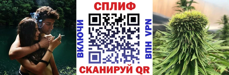 Конопля марихуана Лодейное Поле